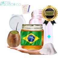Kombucha Yerbucha Chimarrão Scoby Colônia + Tampa Voal + Frasco 500ml + Peneira - imagem 3