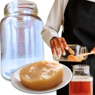 Kombucha Tradicional Scoby Colônia Viva Chá Fermentado Natural + Vidro 500ml com Tampa Original Caseiro Artesanal Probiótico Saudável Detox - imagem 1