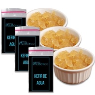 Kit Kefir de Água Vivo Colônia + Manual Completo Compre 2 Ganhe 1! - imagem 2