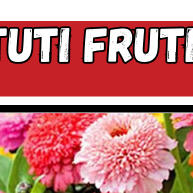 Zínias: 4 Espécies Incríveis para um Jardim Colorido! - imagem 2
