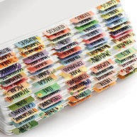 Pacote com 2 Abas Florais da Bíblia para Mulheres e Meninas - 100 Peças Laminadas com Design Colorido para Estudo Bíblico - imagem 4