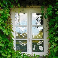 Adesivos para Janela Anticolisão com Formas de Pássaros e Folhas - 25 Unidades em Vinil Refletivo UV - imagem 3