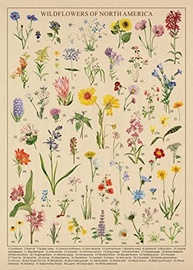 Quebra-Cabeça Vintage de Flores Silvestres 1000 Peças - Decore e Desafie-se com a Beleza da Natureza - imagem 5