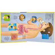 com-corpo-a-o-espaco-o-humano-com-combo-e-livros-abas-criancas-explore-a