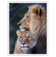 Quadro Decorativo Casal de Leões 90x60cm - Moldura Preta em Madeira com Acabamento Premium - imagem 3