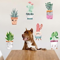 Adesivos de Parede Cactos Fofos - Decoração Moderna com Vinil de Suculentas para Quarto e Sala - imagem 1