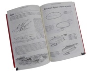 com-livros-de-box-curso-essenciais-para-3-desenho-basico-a-iniciantes-a