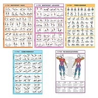 Pacote com 5 Pôsteres de Treino para Casa - Sem Equipamento | Ilustrações Coloridas para Exercícios de Peso Corporal, Yoga e Abdômen - imagem 2