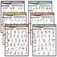 Pôsteres de Exercícios para Academia em Casa - 6 Peças com Ilustrações de Alongamento, Halteres e Peso Corporal - imagem 1