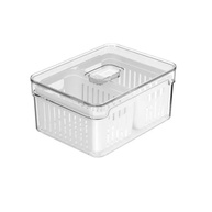 com-transparente-a-armazenamento-fresh-22l-moderno-duplo-organizador-cesto-clear-e-a