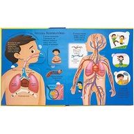 combo-o-criancas-explore-humano-livros-abas-espaco-corpo-com-com-e-a-o-a