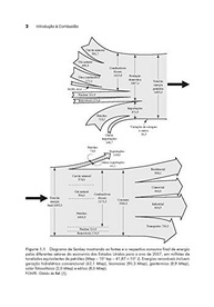 Combustão Desmistificada: Conceitos Essenciais e Aplicações Práticas - imagem 5