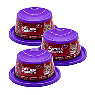 Comedouro Pet Injet Lilás: Postura Certa para Seu Gato - imagem 1