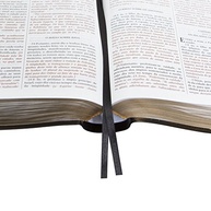 comentarios-as-a-do-escrituras-biblia-estudo-de-exclusivos-compreenda-expositor-com-a