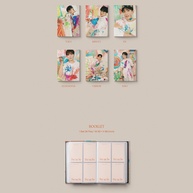 SEVENTEEN Face the Sun: Edição CARAT Completa - imagem 2