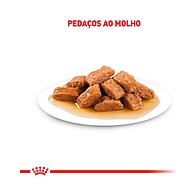 Royal Canin Sachê Médio Adulto: Nutrição Completa! - imagem 2