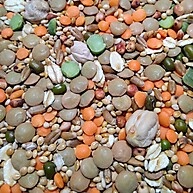 Mix de Sementes para Hamster: Nutrição Completa! - imagem 1