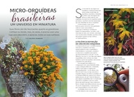completo-17-das-orquideas-brasileiras-micro-a-orquideas-mestre-guia-de-vol-a