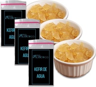 Kit Kefir de Água Vivo Colônia + Manual Completo Compre 2 Ganhe 1! - imagem 1