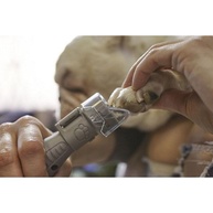 Lixa Unhas Pet DREMEL: Guia Completo - imagem 2