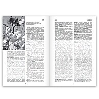 Enciclopédia Bíblica Boyer: Seu Guia Completo! - imagem 2