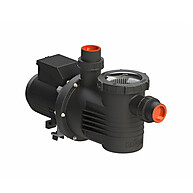 Bomba Piscina 1/2cv Dancor + Kit Completo - imagem 2