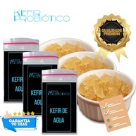 Kit Kefir de Água Vivo Colônia + Manual Completo Compre 2 Ganhe 1! - imagem 3