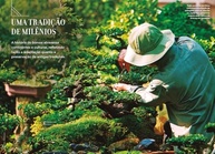 completo-natureza-da-o-guia-bonsai-visual-almanaque-arte-a