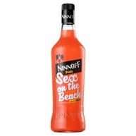 Drinks Ninnoff 900ml: Saboreie Sem Complicação! - imagem 2