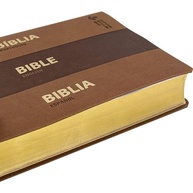 compreensao-espanhol-profunda-a-trilingue-e-biblia-portugues-naaesvrvc-em-ingles-a