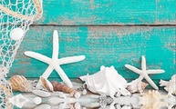 Quadro Náutico Estrela Tifani Conchas Mar - Decore sua Casa de Praia com Charme Náutico 55x100 - imagem 3