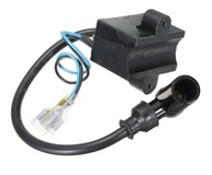 Bobina CDI 80cc: Potencialize Seu Motor com Desempenho e Confiabilidade - imagem 2