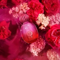 The Icon Supreme: Seu Perfume de Confiança - imagem 2