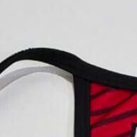 Top Cropped Personalizado Leão da Barra - Strappy e Confortável - imagem 2