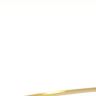 conforto-e-elegancia-fusion-laminado-aro-choker-colar
