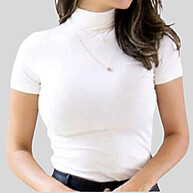 Blusa Gola Alta Premium: Elegância e Conforto - imagem 1
