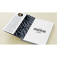 Biblioteca de Ouro Shakespeare – 3 Obras que Você Precisa Conhecer - imagem 2
