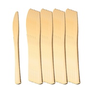 Conjunto de Utensílios Jantar Minimalista Descartáveis 25 Peças - Ideal para Festas e Eventos - imagem 1