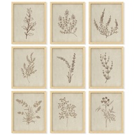 Arte de Parede Botânica Vintage | Conjunto de 9 Pôsteres Neutros 20x25cm | Decoração Floral Minimalista para Quarto e Sala - imagem 1