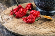 Pimenta Carolina Reaper Grande Em Conserva - Fogo Mineiro - imagem 3