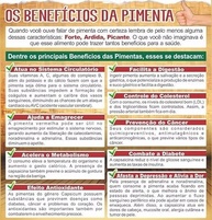 Pimenta Carolina Reaper Grande Em Conserva - Fogo Mineiro - imagem 5