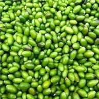 Pimenta Cumari Verde Nativa Em Conserva (Liq.310g / Dren.180g) - imagem 3