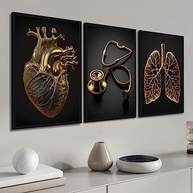 Kit Quadros Decorativos Médicos com Moldura - Decore seu Consultório com Estilo - imagem 1