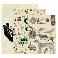 Kit 3 Quadros Decorativos para Consultório de Medicina Veterinária - Design Profissional - imagem 5