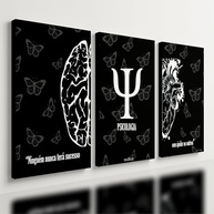 Kit 3 Quadros Decorativos Psicologia Cérebro Mente - Ideal para Consultórios e Ambientes Terapêuticos - imagem 2