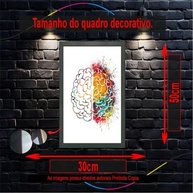 Quadro Decorativo Anatomia Humana - Moldura Elegante para Consultórios e Ambientes Médicos - imagem 3
