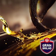 Óleo Lubrificante Multiuso Lubrix Gran Brilho 100ml - Proteção Contra Ferrugem e Desgaste - imagem 3