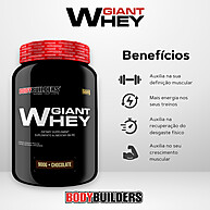 Kit Musculação: Whey, Creatina, BCAA + Coqueteleira - imagem 2