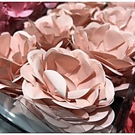 Forminhas para Doces Finos: Kit 120 Pêssego + Cores - imagem 2