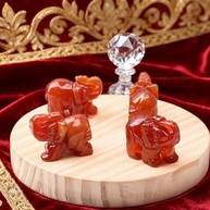 Estatueta de Elefante em Ágata Cornalina Vermelha - 3,8cm | Escultura Natural para Decoração, Feng Shui e Presente de Sorte - imagem 3